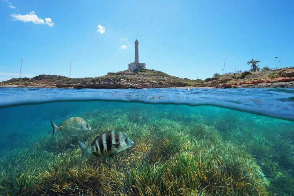 CABO DE PALOS - Situado en la entrada a La Manga del Mar Menor, ideal para contemplar la inmensidad del mar y comerte un arroz caldero en sus restaurantes
